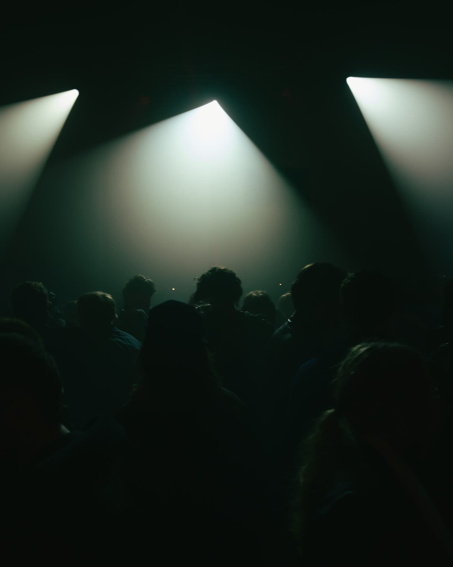 Pulse of Echoes